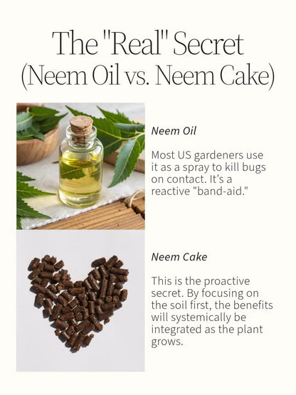 WonderTree Organics 100% Neem Cake Organic Fertilizer 2-1-1 (4 lb) + Free Shipping