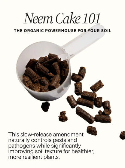 WonderTree Organics 100% Neem Cake Organic Fertilizer 2-1-1 (4 lb) + Free Shipping