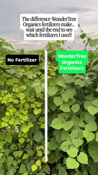 WonderTree Organics Vegetable & Leafy Green Organic Enriched Fertilizer 7-7-7 (4 lb) + Free Shipping